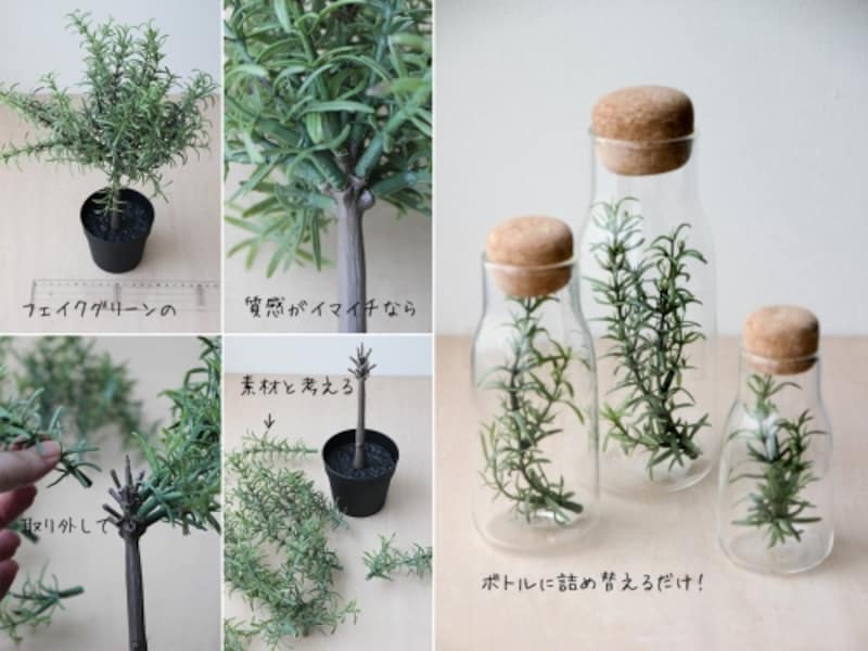 小さな観葉植物をテラリウム風に楽しむ3つの方法