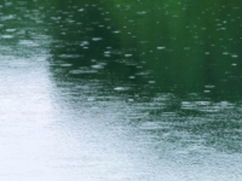 雨