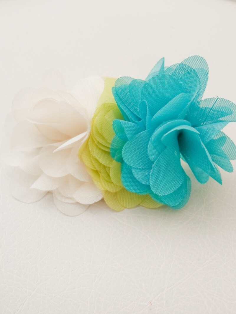 8センチ程度の大きさ