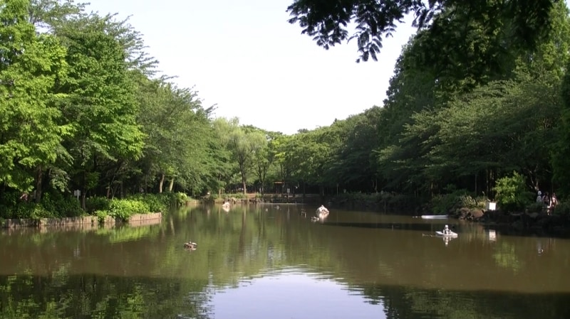 撮影映像からの切り出し（クリック）