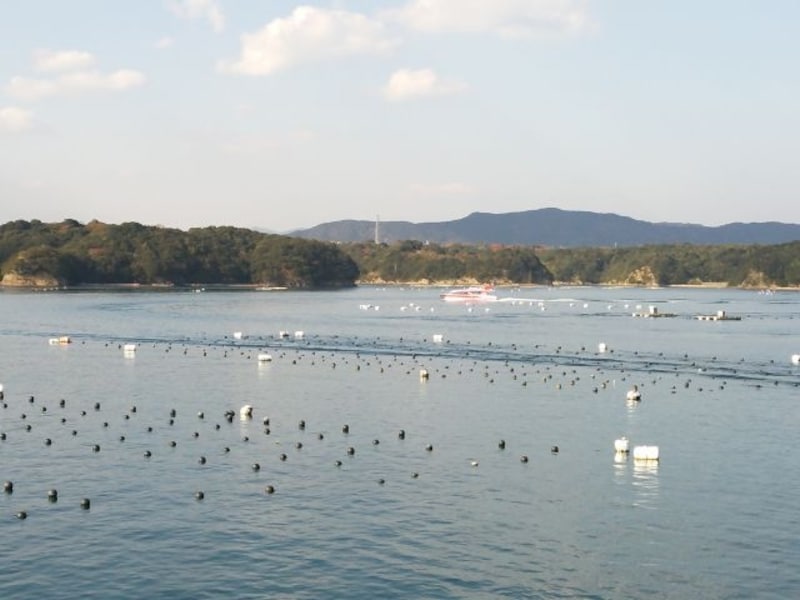 賢島エスパーニャクルーズから眺める英虞湾の風景（2）／真珠養殖のはえ縄と小型船を望む