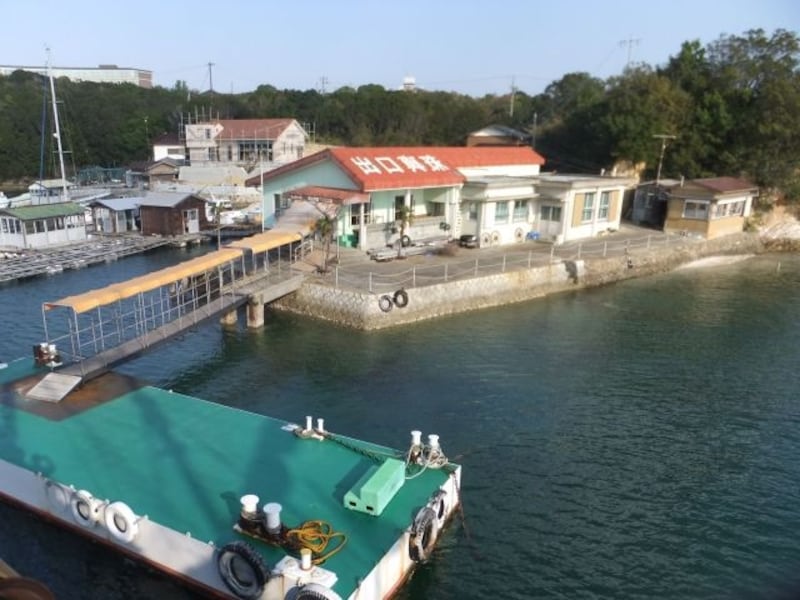 賢島エスパーニャクルーズに含まれる真珠養殖の作業見学