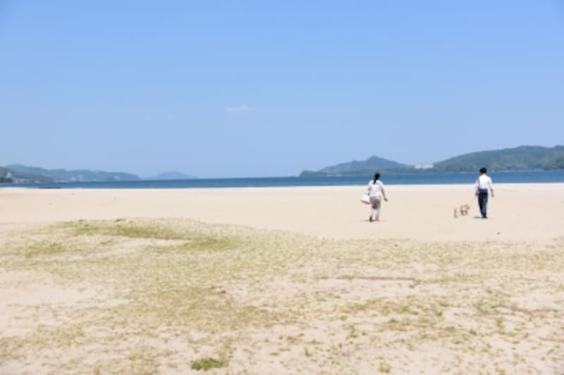 驚くほど美しい砂浜と、透き通った海