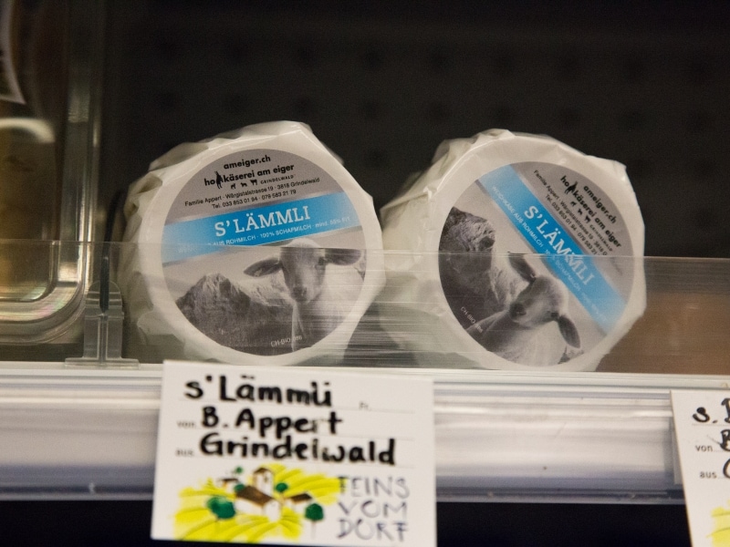 フレッシュタイプのシャフケーゼ