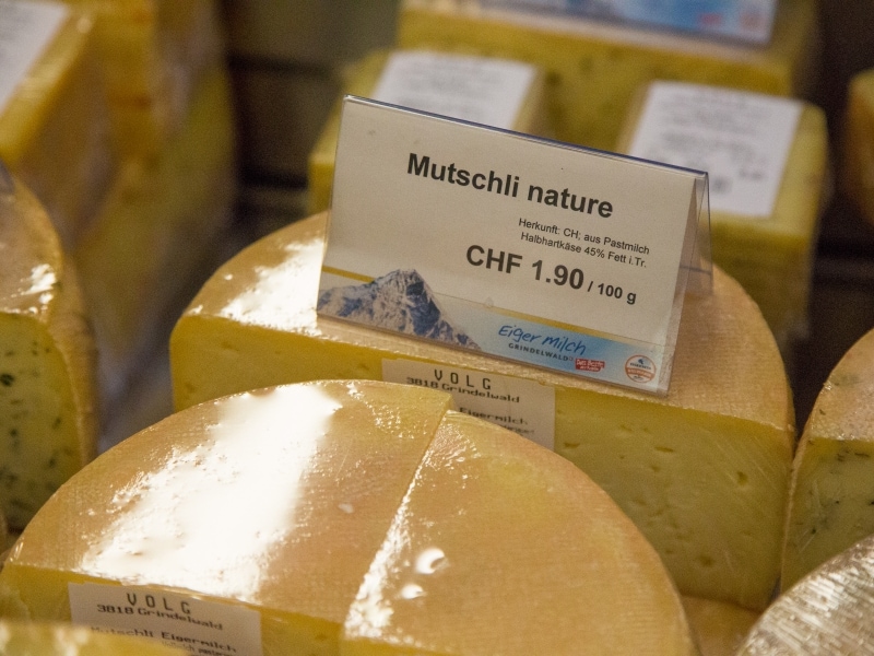 プレーンタイプのムッチュリ