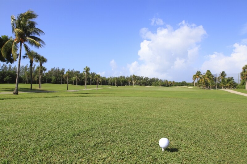 ゴルフ場で熱中症・脱水症状になる人は多い。ランチビールはほどほどに