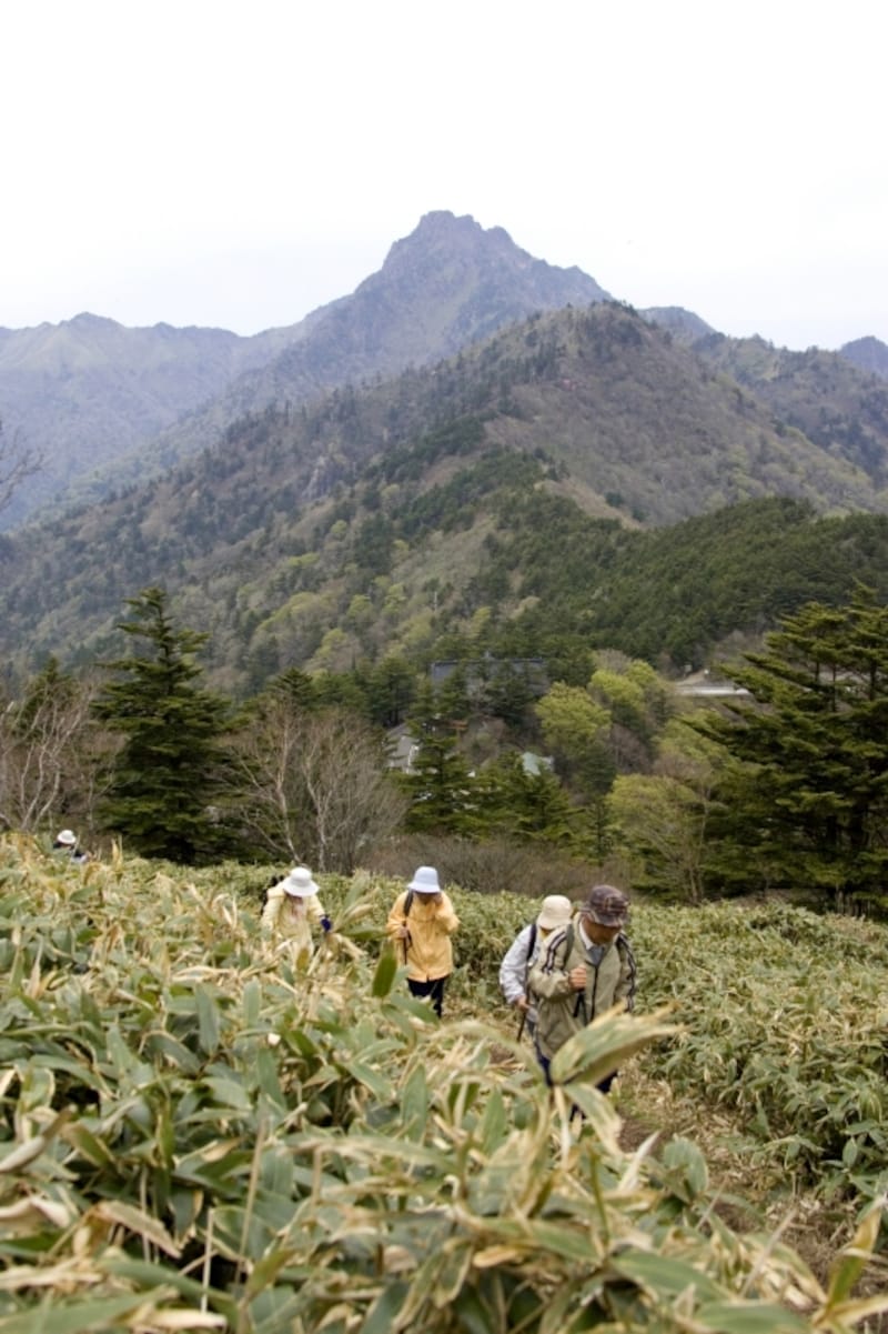 山歩きでも脱水しやすい