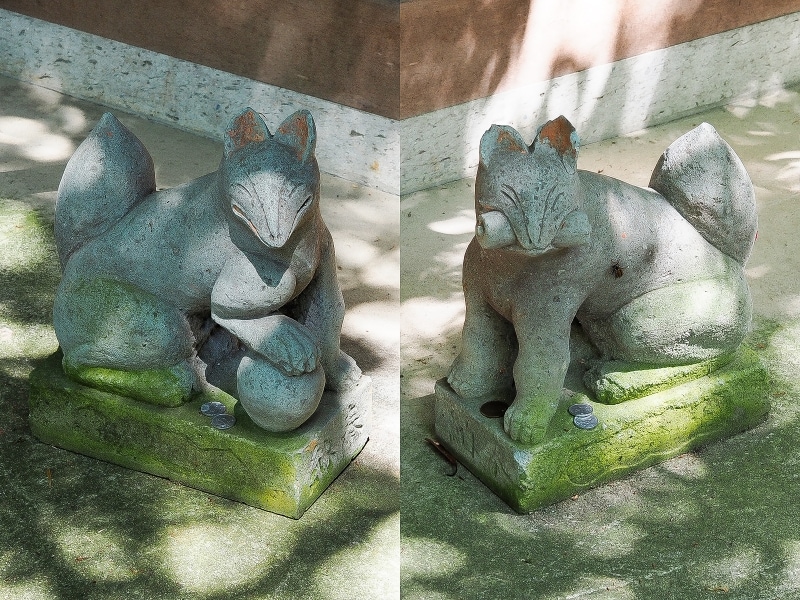 白狐さん@広坂稲荷神社