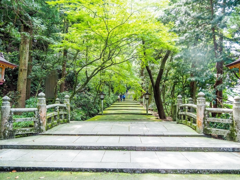 参道@白山比め神社