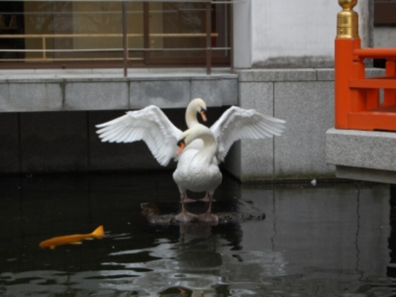 六角堂境内の聖徳太子が沐浴をしたと伝わる池の古跡