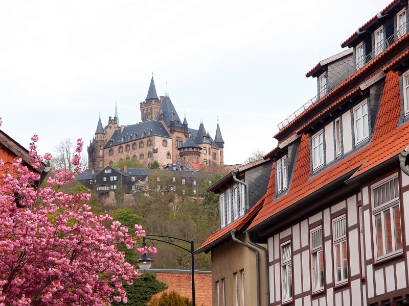 schloss1