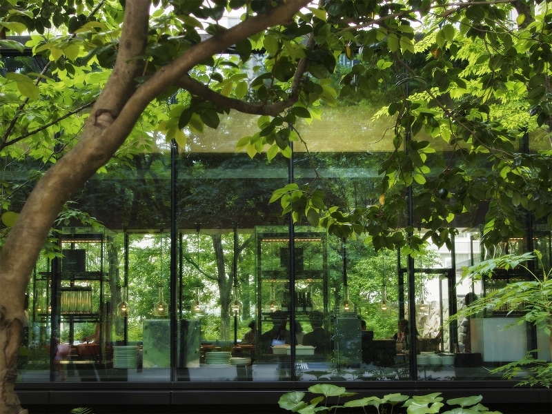 緑に包まれたカフェの外観。