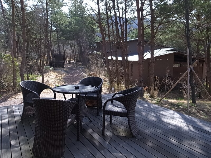 施設内の雰囲気undefined様子