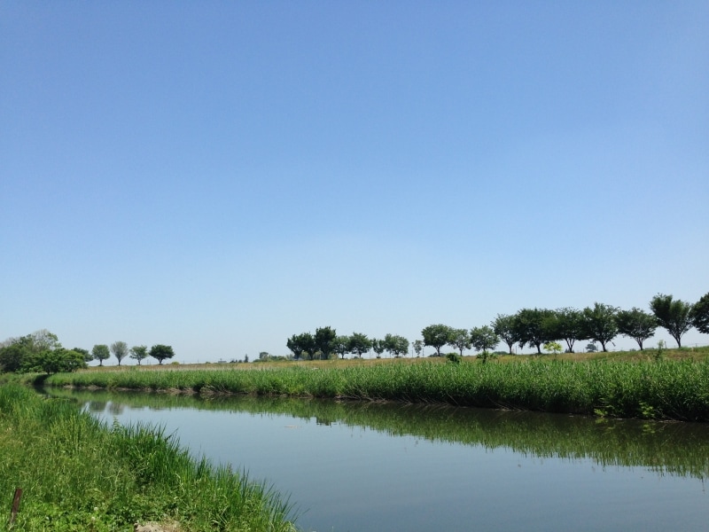 谷田川