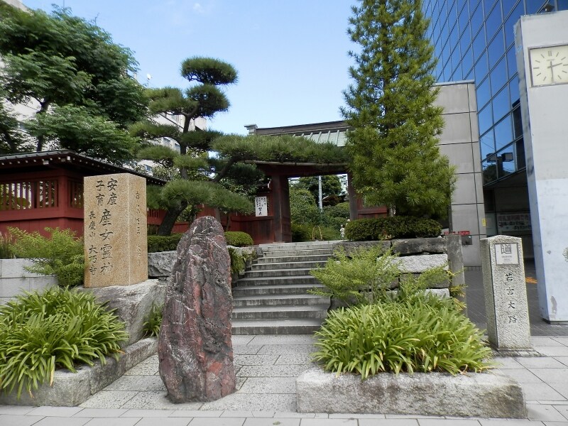 大巧寺の門
