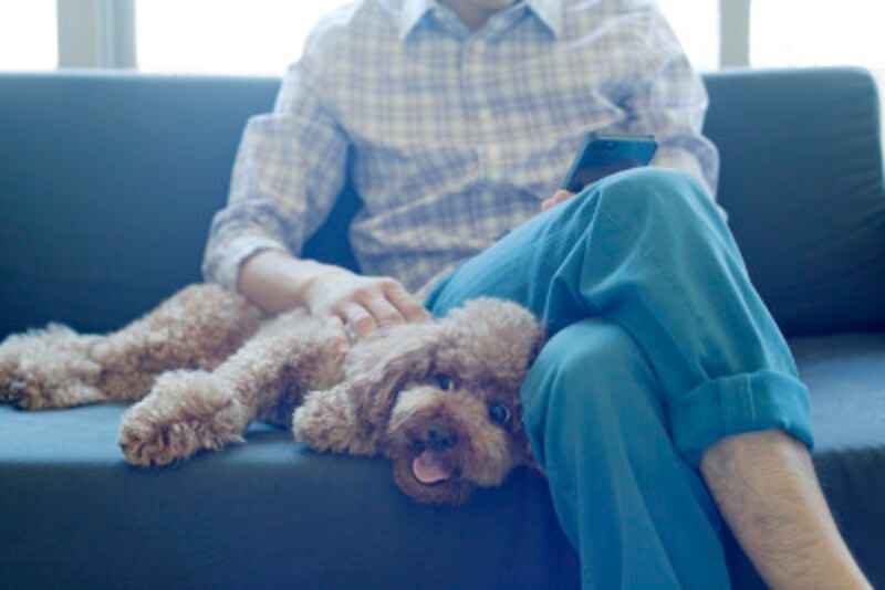 ペットロスは 克服 しなくてもいい 悲しみと愛しさは表裏一体 犬 All About ペットロスは 克服 しなくてもいい 悲しみと愛しさは表裏一体 犬 All About
