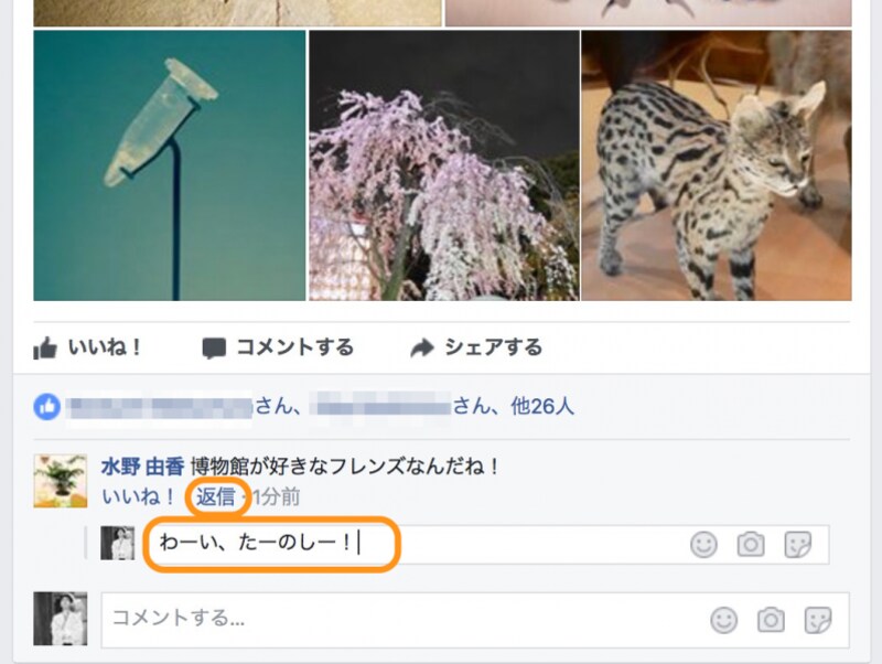 ［返信］をクリックして文章を入力