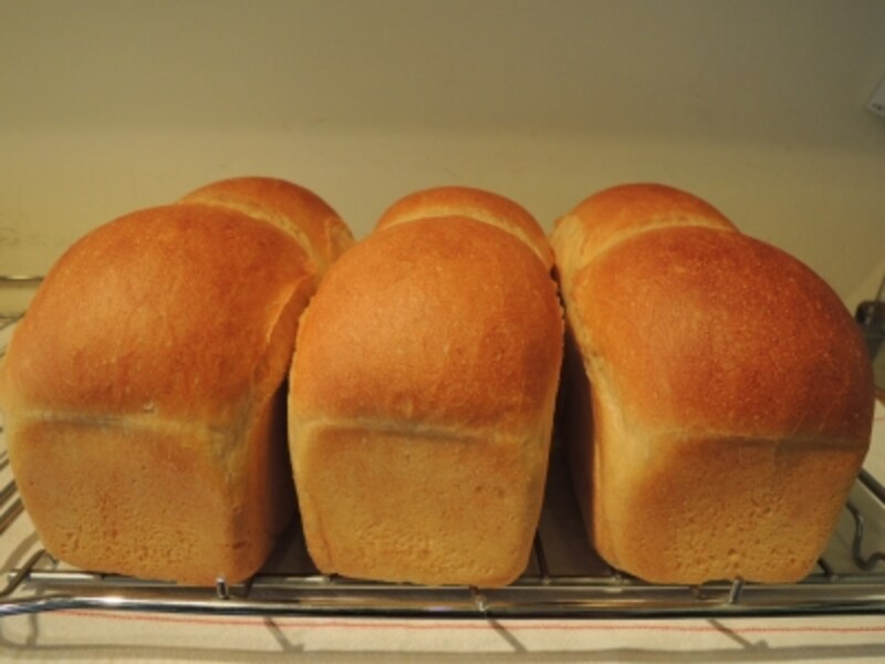ベーグル生地で焼かれた食パンは小さいけれど力強い食感