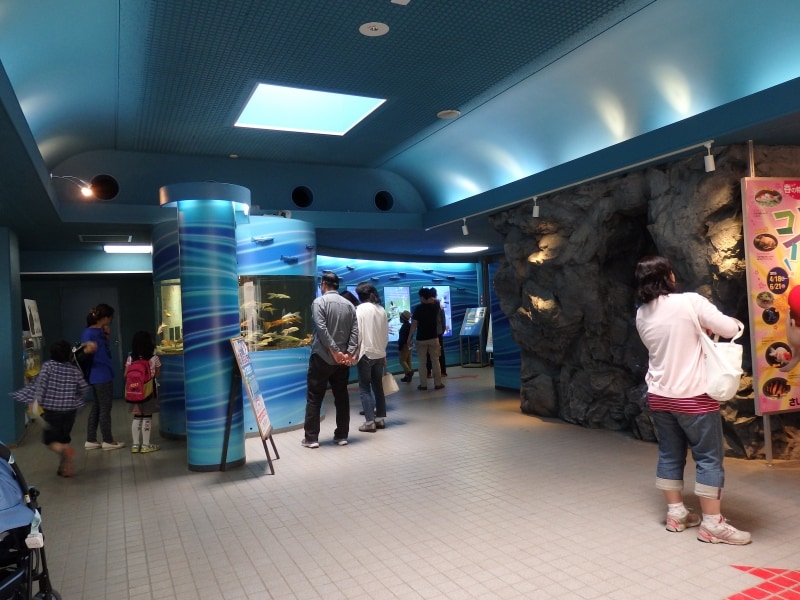 荒川の生物観察が始まるエントランスホール