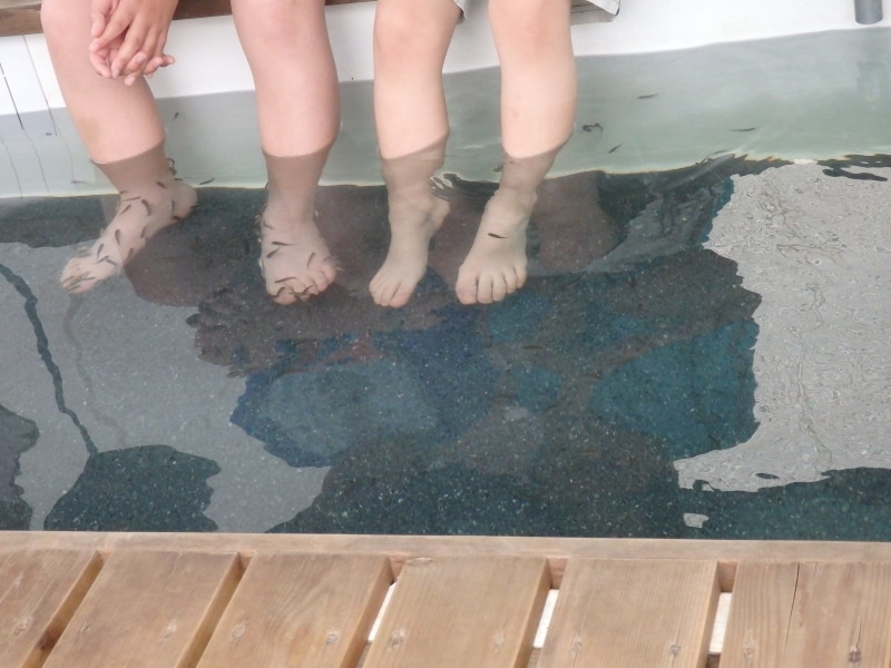 くすぐったいけどフィッシュセラピーに挑戦