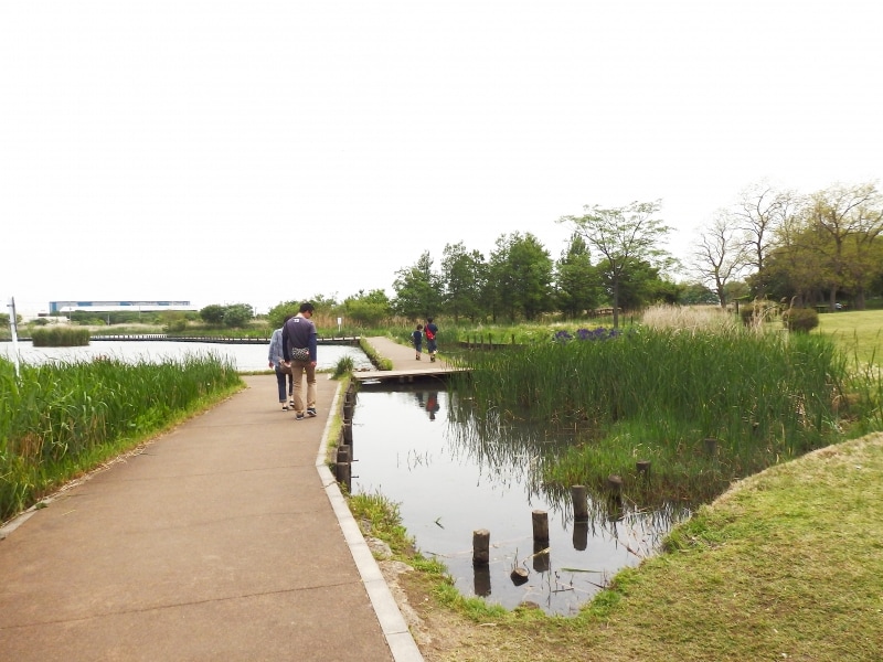 静けさが漂う水生植物園