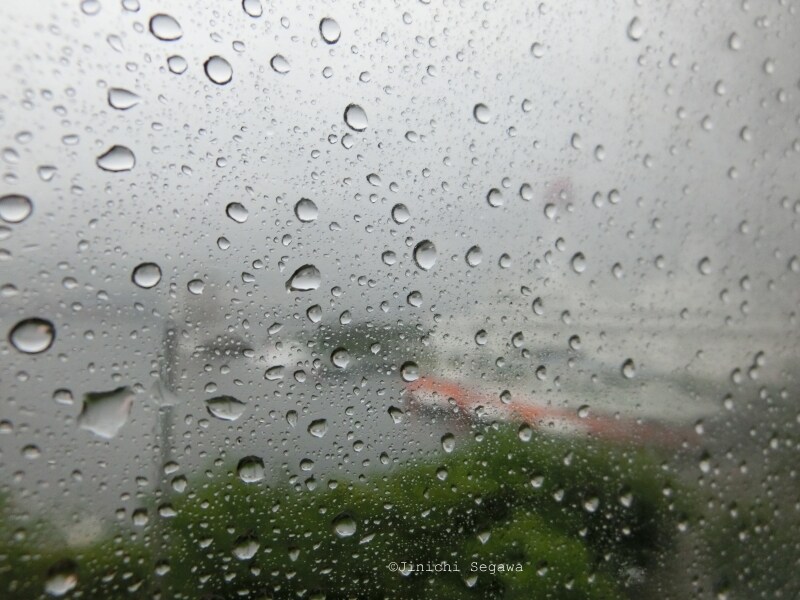梅雨の写真