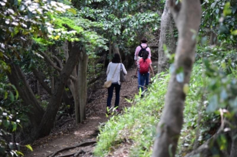 大仏・葛原岡ハイキングコース