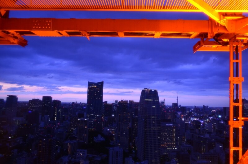 大展望台から見た景色