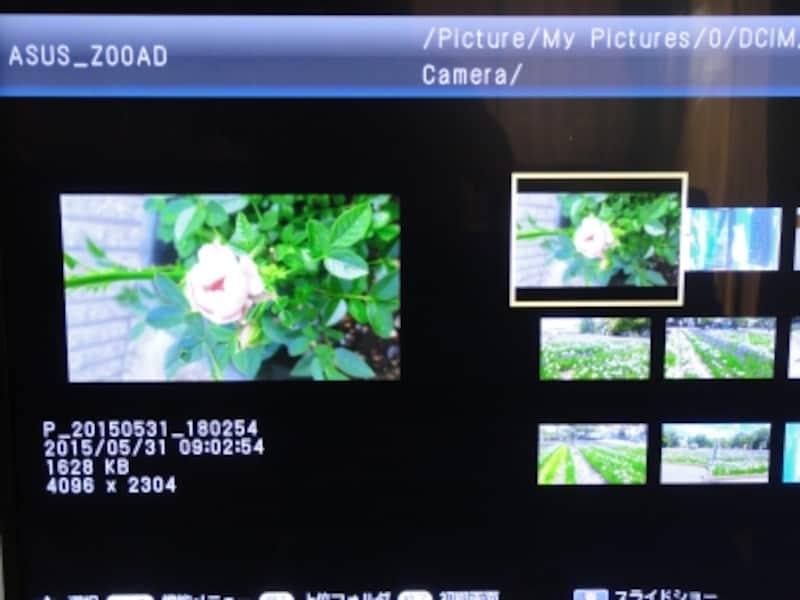 表示する写真を指定
