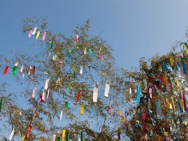 七夕飾り・笹飾りを高く掲げるほど願いが叶うといわれています