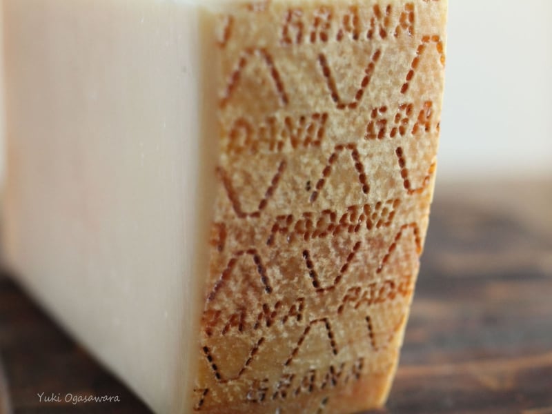 グラナ・パダーノのロゴ