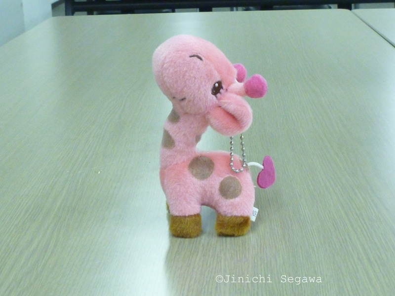 撮影用バックスクリーン