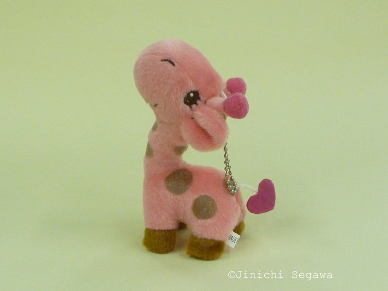 撮影用バックスクリーン