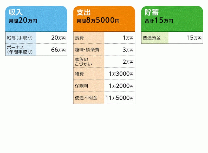 みっちいさんの家計収支データ
