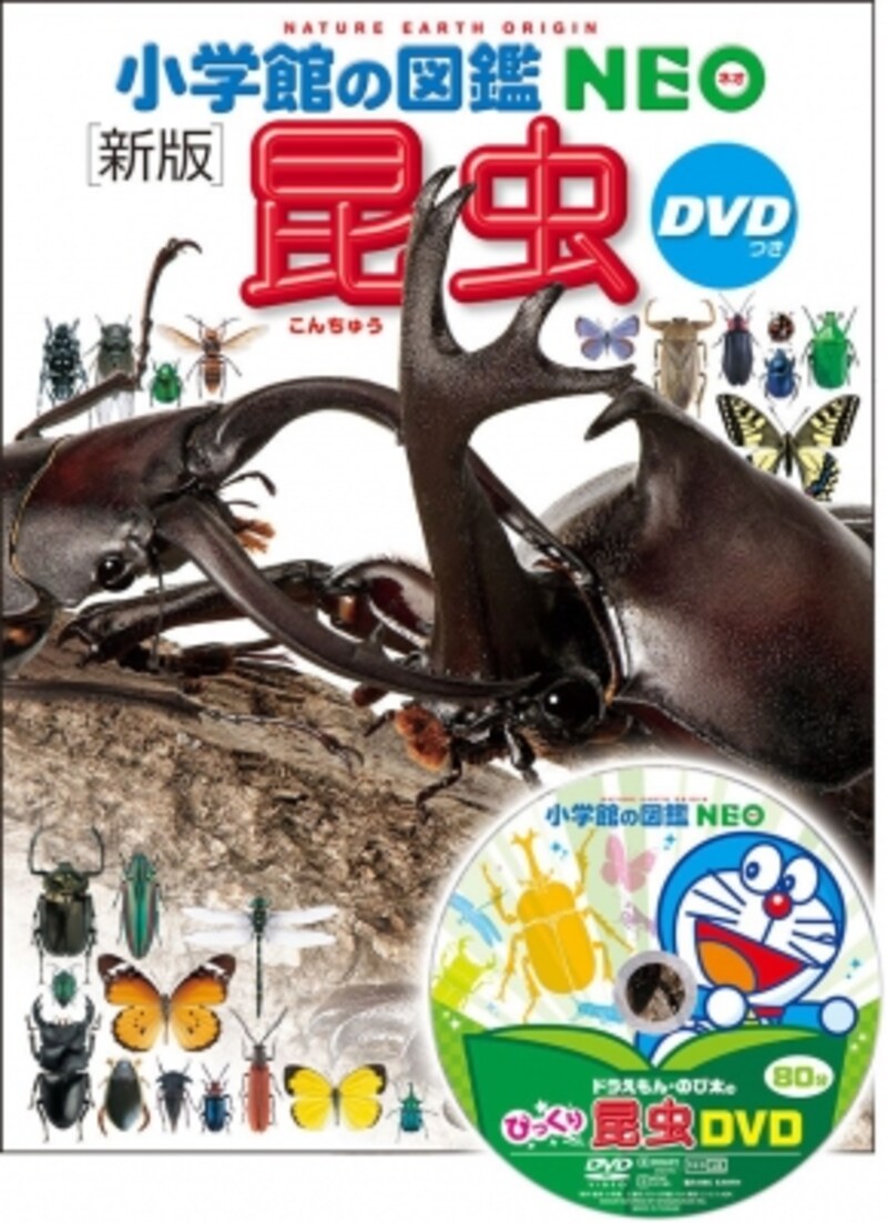 『昆虫』新版DVD付（小学館の図鑑 NEO）