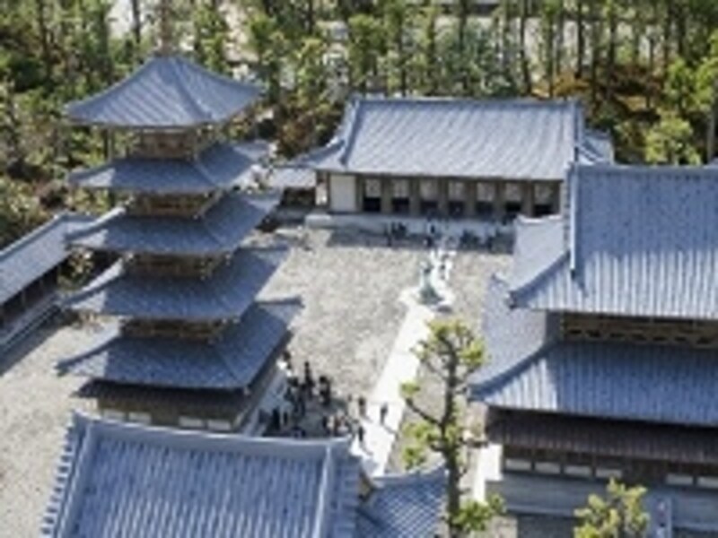 世界でも有数の古い建築物として知られる法隆寺はヒノキ材とのこと