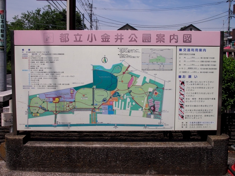 小金井公園の所在地は小金井市桜町三丁目、関野町一・二丁目、小平市花小金井南町三丁目、西東京市向台六丁目、武蔵野市桜堤三丁目となる。とにかく広い！