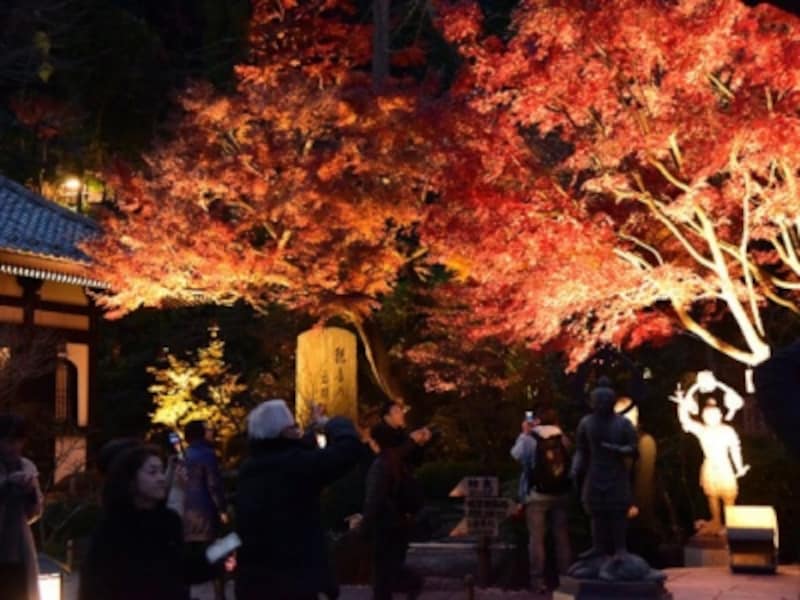 長谷寺の紅葉ライトアップ(2016年撮影)