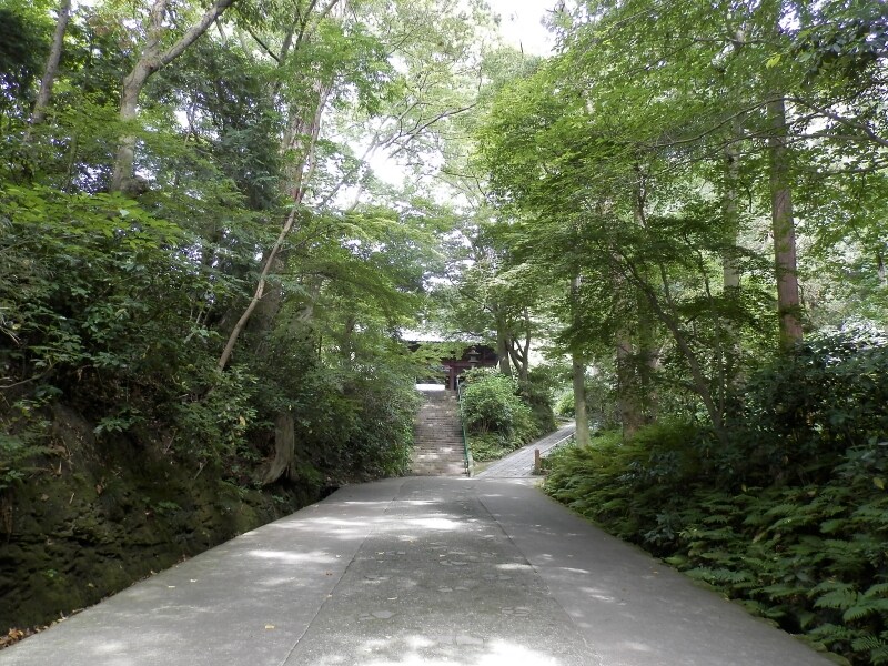 妙本寺の参道