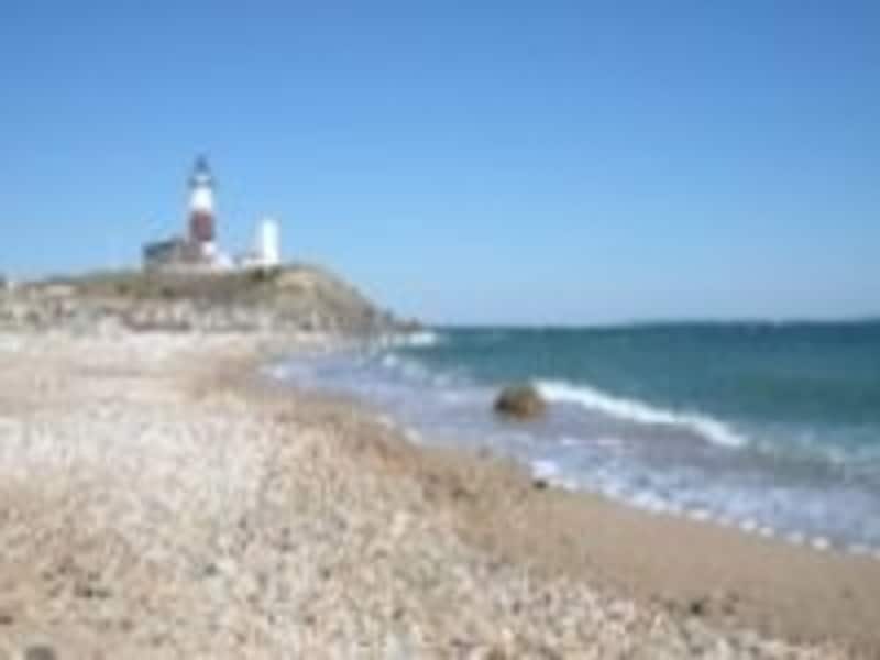 映画「恋愛小説家」の舞台でもお馴染み