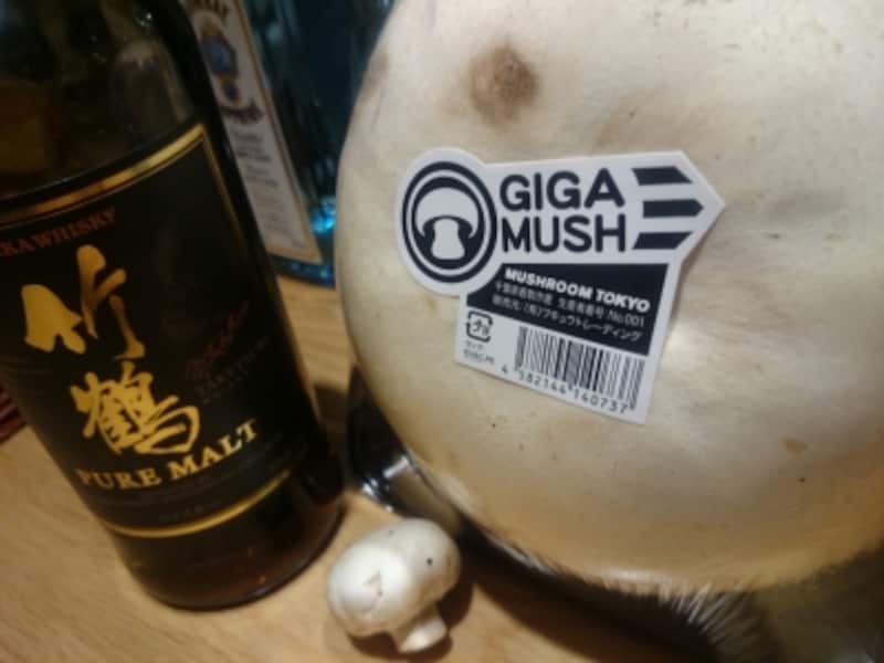 マッシュルームトーキョー