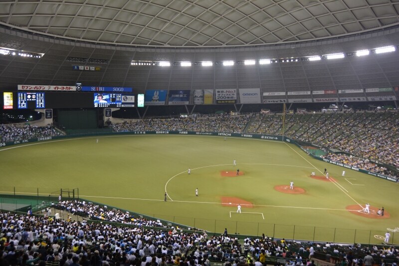 ダグアウトテラスから見るグランド