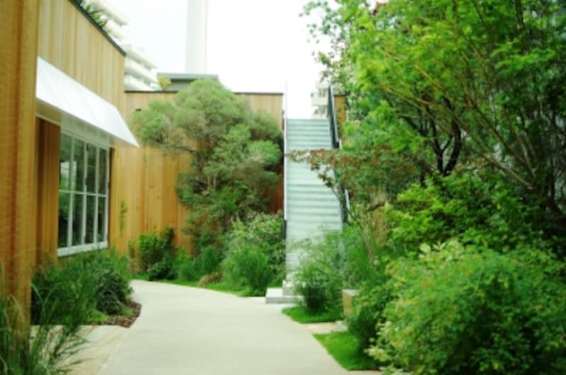 緑の小道から、ルーフトップにあがる階段