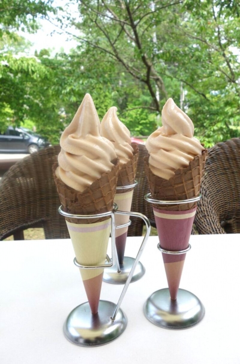 ソフトパレドオールundefinedブランundefined500円（税込）