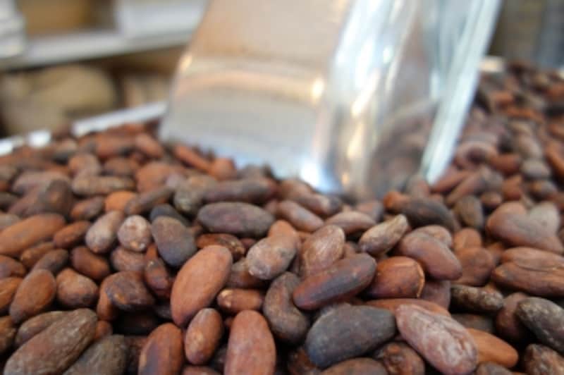 清里でカカオ豆からチョコレートが作られています。