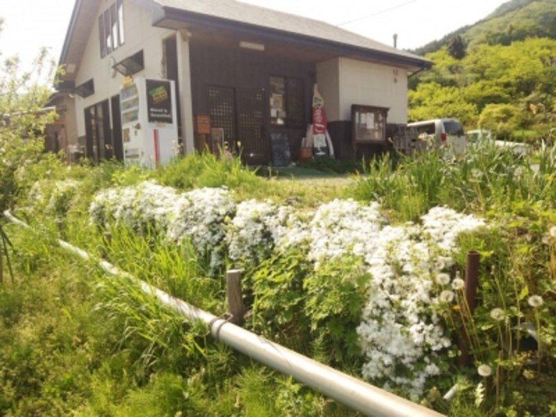3 3 いわて釜石 農家レストランと巨大壁画の手作り公園 岩手の観光 旅行 All About