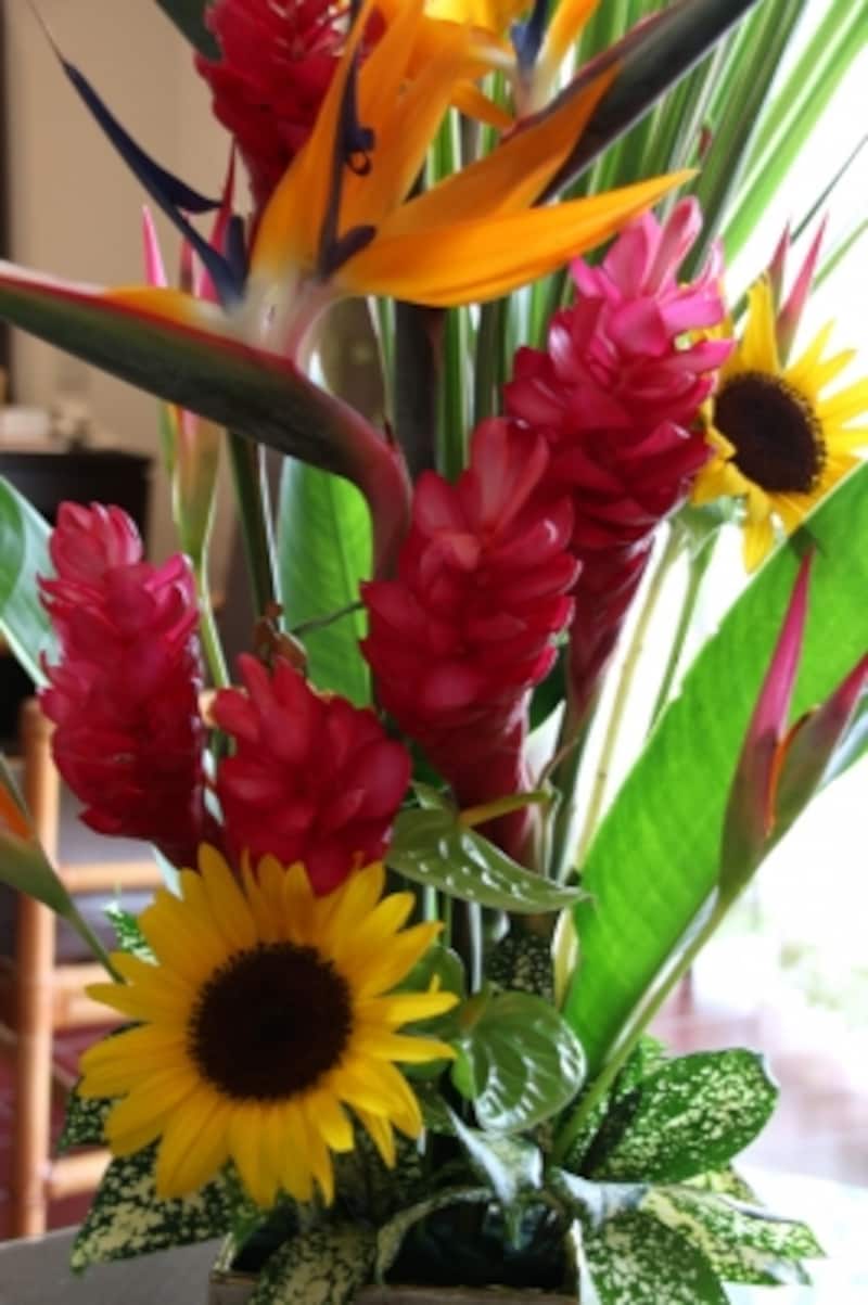 flower