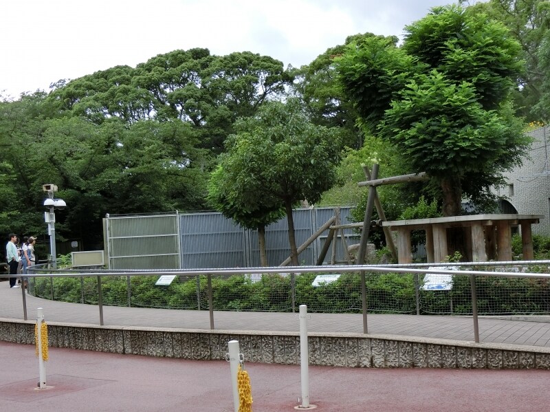 王子動物園パンダ屋外運動場