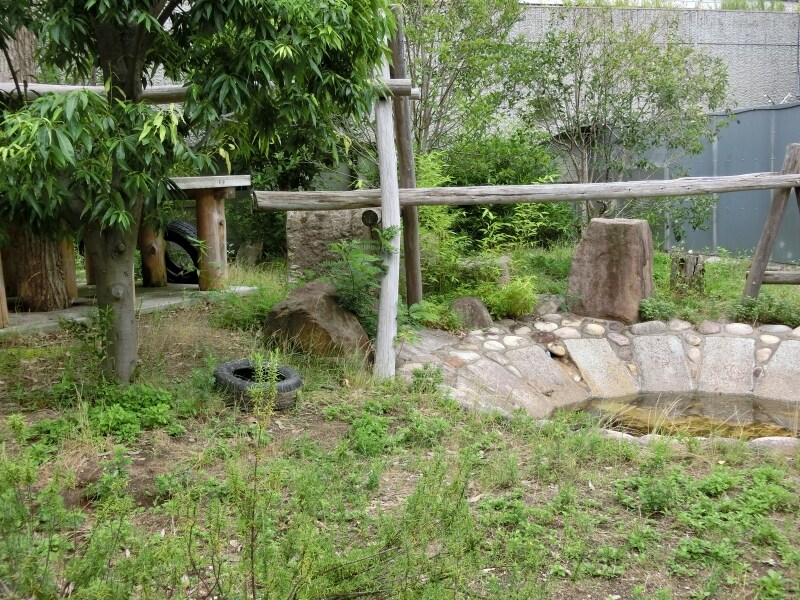 コウコウのいた場所