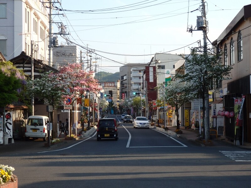 東武東上線の小川町駅から伸びる花水木通り